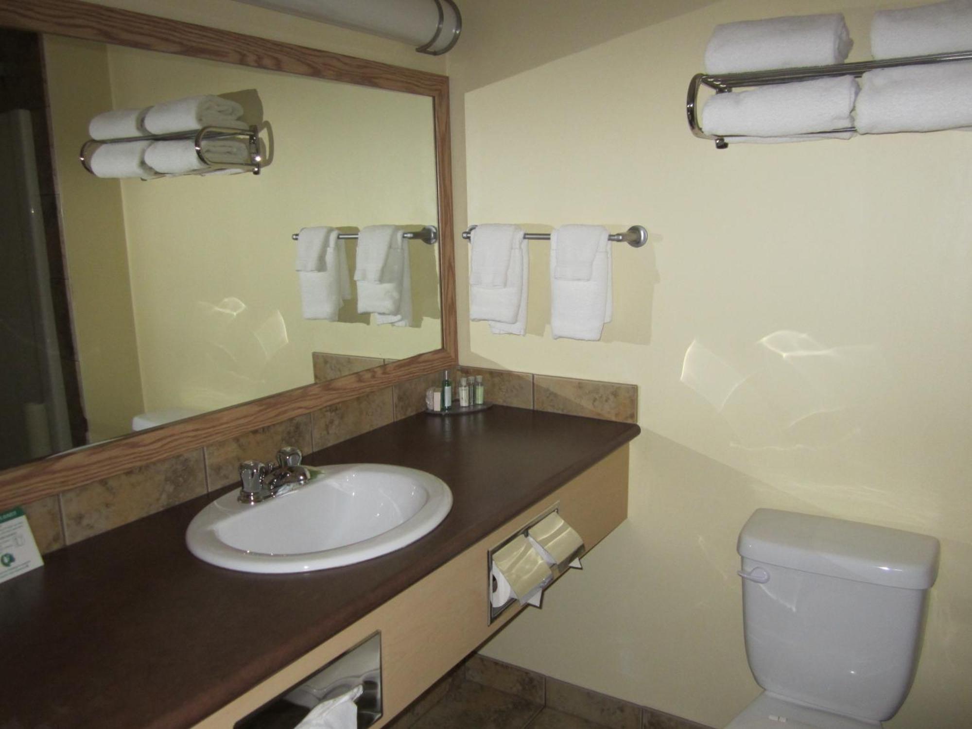 Trend Mountain Hotel & Conference Centre Tumbler Ridge Chambre photo