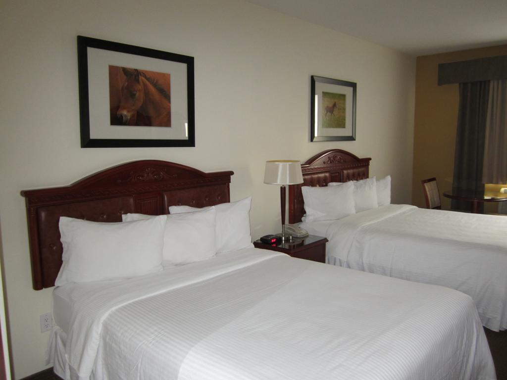 Trend Mountain Hotel & Conference Centre Tumbler Ridge Chambre photo